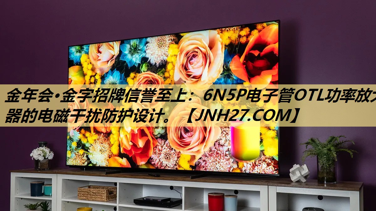 6N5P电子管OTL功率放大器的电磁干扰防护设计。 6N5P电子管OTL功率放大器的电磁干扰防护设计。