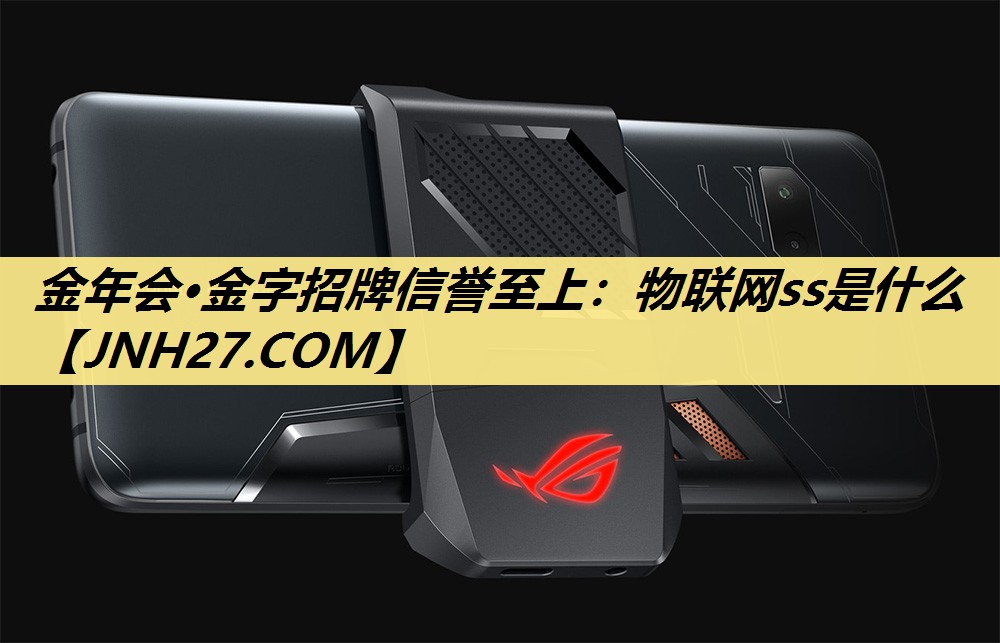 物联网ss是什么 物联网ss是什么
