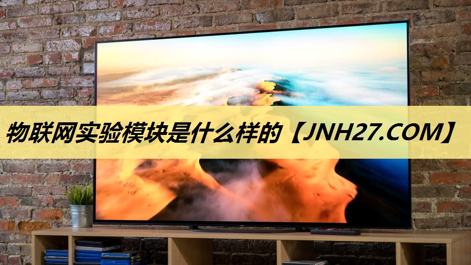 物联网实验模块是什么样的